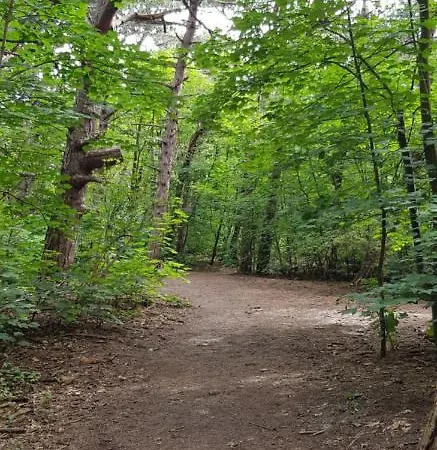 Duinenhuis Zeepolder 28 Σπίτι διακοπών *