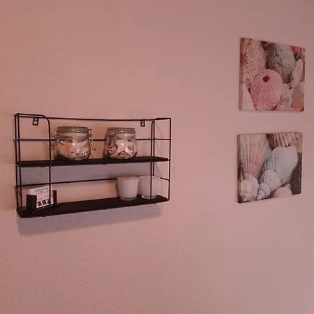 Duinenhuis Zeepolder 28 Σπίτι διακοπών De Haan