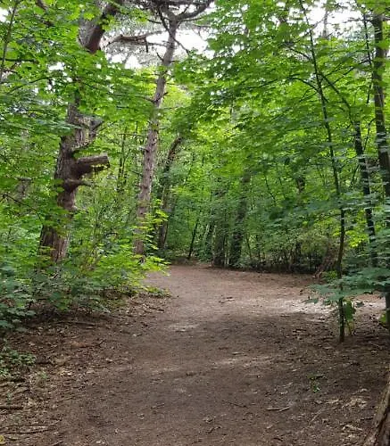 Duinenhuis Zeepolder 28 Semesterbostad *