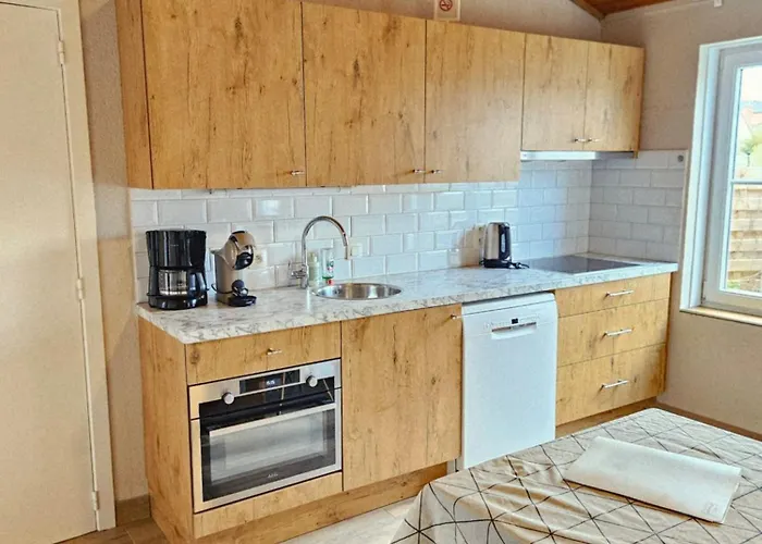 Semesterbostad Duinenhuis Zeepolder 28 *