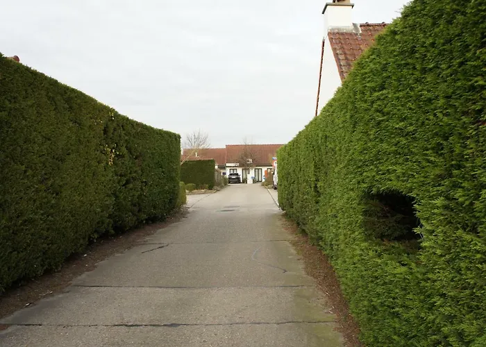 Duinenhuis Zeepolder 28 De Haan